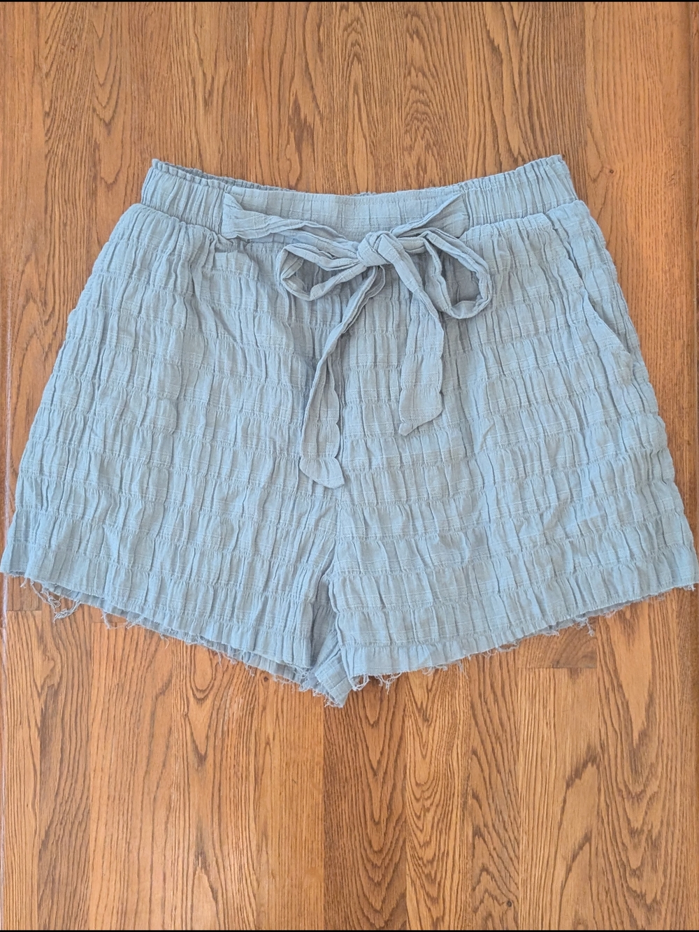 Sadie & Sage Light Blue Textured Tie Front Shorts